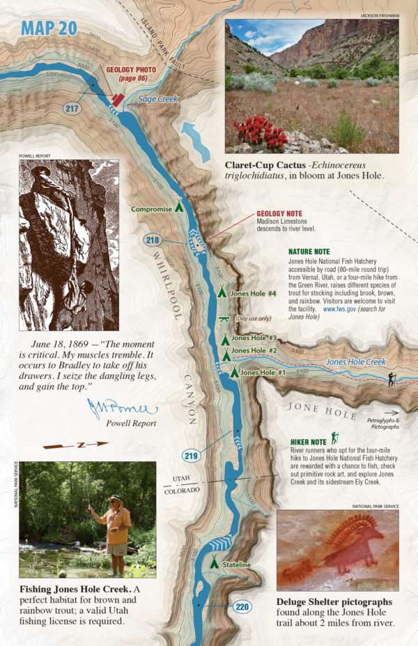 Dinosaur River Guide - Image 4