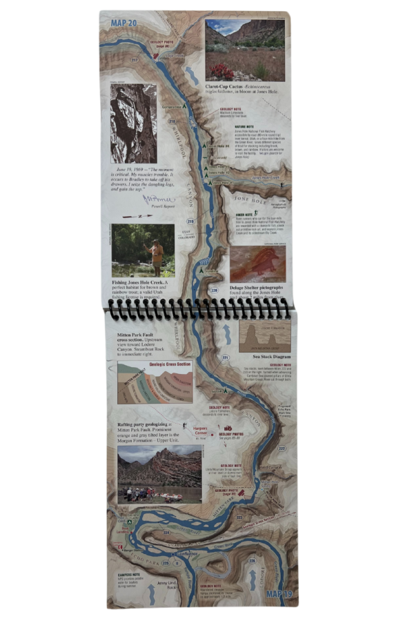 Dinosaur River Guide - Image 11