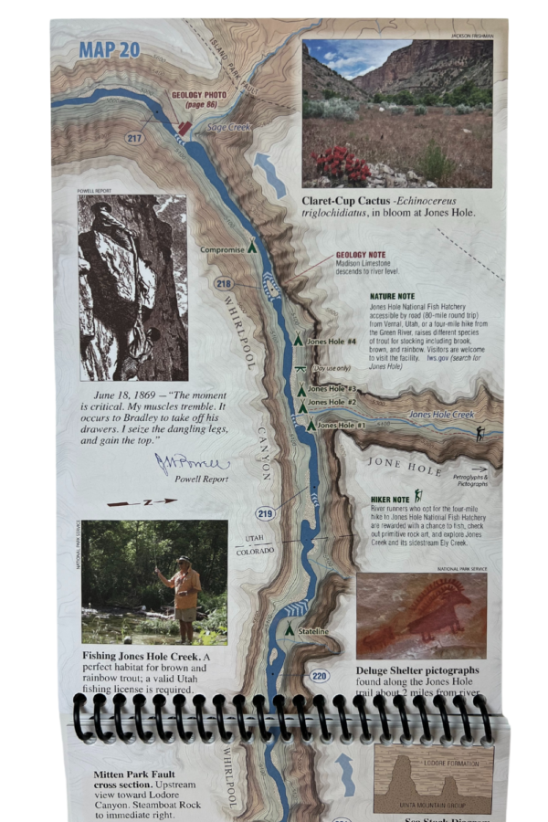 Dinosaur River Guide - Image 13